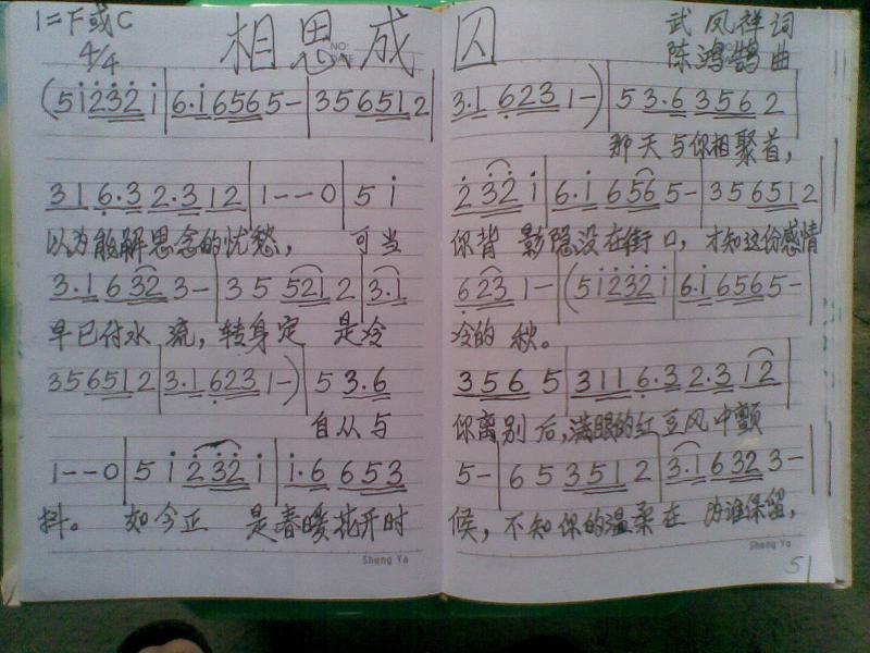 ͼƬ鿴